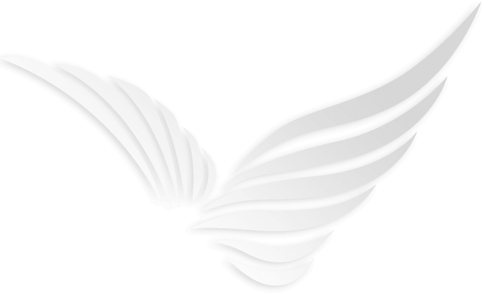 wings-overlay-test-01